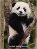 Colnect-5931-533-Panda-Goodwill-Ambassador-Qiqi.jpg