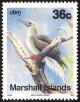 Colnect-1599-516-Red-footed-Booby-Sula-sula.jpg