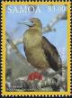 Colnect-3195-794-Red-footed-Booby-Sula-sula.jpg
