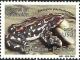 Colnect-3874-744-Schmidt-s-Stubfoot-Toad-Antelopus-pachydermus.jpg