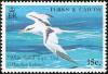 Colnect-1764-350-White-tailed-Tropicbird-nbsp-Phaeton-lepturus.jpg