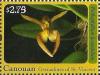 Colnect-1870-422-Bulbophyllum-lancilabium.jpg
