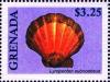 Colnect-6027-581-Lyropecten-Subnodosus.jpg