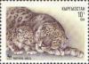 Colnect-960-695-Adult-Snow-Leopard-Panthera-uncia-and-cub.jpg