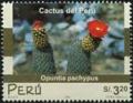 Colnect-2347-495-Opuntia-pachypus.jpg