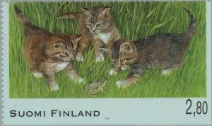 Colnect-160-323-Kittens-of-the-European-Domestic-Cat-play-with-Frog.jpg
