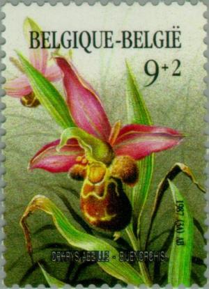 Colnect-186-260-Ophrys-apifera.jpg