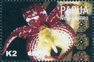 Colnect-3420-462-Bulbophyllum-macranthum.jpg