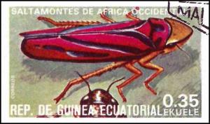 Colnect-4976-921-Grasshopper-F-Gomphocerinae.jpg
