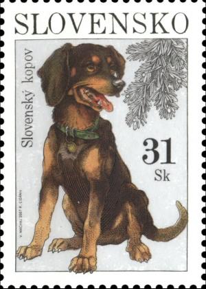 Colnect-5170-447-Slovensky-Kopov-Canis-lupus-familiaris.jpg