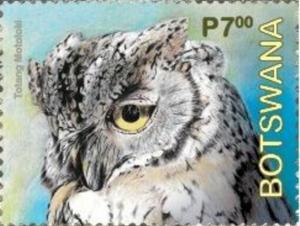 Colnect-7124-461-African-Scops-Owl-Otus-senegalensis.jpg
