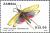 Colnect-5694-400-Grashopper-Phymateus-iris.jpg