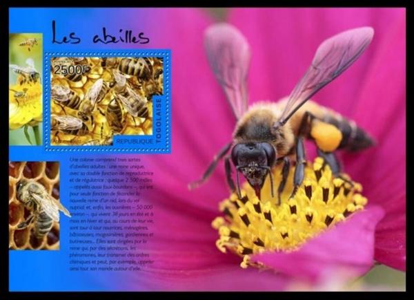 Colnect-6091-964-Western-or-European-Honey-Bee-Apis-mellifera.jpg
