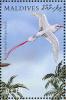 Colnect-1631-361-Red-tailed-Tropicbird-Phaethon-rubricauda.jpg
