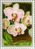 Colnect-186-075-Phalaenopsis-Malibu-Lipstick.jpg