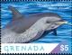 Colnect-5727-085-Pantropic-Spotted-Dolphin.jpg