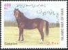 Colnect-1103-268-Caspian-Horse-Equus-ferus-caballus.jpg