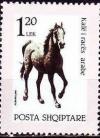 Colnect-1495-532-Arabian-horse-Equus-ferus-caballus.jpg