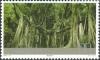Colnect-1846-873-Rain-forest-Southern-Yunnan.jpg