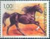 Colnect-1854-272-Arabian-Horse-Equus-ferus-caballus.jpg