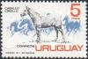 Colnect-1878-993-Criollo-Horse-Equus-ferus-caballus.jpg