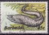 Colnect-1926-812-Spotted-Moray-Gymnothorax-moringa.jpg