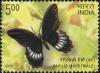 Colnect-2298-830-Andaman-Mormon-Papilio-mayo---Male.jpg