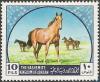 Colnect-2625-936-Arabian-Horse-Equus-ferus-caballus.jpg