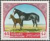 Colnect-2625-939-Arabian-Horse-Equus-ferus-caballus.jpg