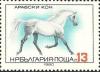 Colnect-2798-339-Arabian-Horse-Equus-ferus-caballus.jpg