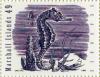 Colnect-2951-882-Seahorse-Hippocampus-sp.jpg