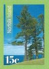 Colnect-3129-726-Four-old-Norfolk-pines-on-coastline.jpg