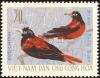 Colnect-5174-528-Maroon-Oriole-Oriolus-traillii.jpg