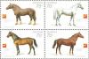 Colnect-579-243-Horses-of-Ukraine.jpg