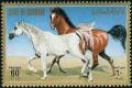 Colnect-1462-455-Arabian-Horse-Equus-ferus-caballus.jpg