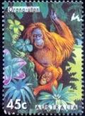 Colnect-1755-810-Bornean-Orangutan-Pongo-pygmaeus.jpg