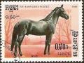 Colnect-2142-478-Arabian-Horse-Equus-ferus-caballus.jpg