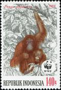 Colnect-4800-028-Bornean-Orangutan-Pongo-pygmaeus.jpg
