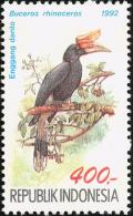 Colnect-939-195-Rhinoceros-Hornbill-Buceros-rhinoceros.jpg