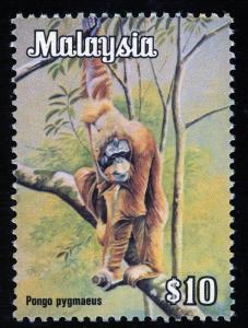 Colnect-1792-663-Bornean-Orangutan-Pongo-pygmaeus.jpg