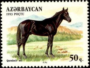 Colnect-1092-506-Qarabair-Horse-Equus-ferus-caballus.jpg
