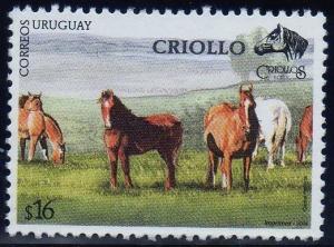 Colnect-1295-418-Criollo-Horse-Equus-ferus-caballus.jpg