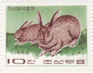 Colnect-1452-489-Domestic-Rabbit-Oryctolagus-cuniculus-domesticus.jpg