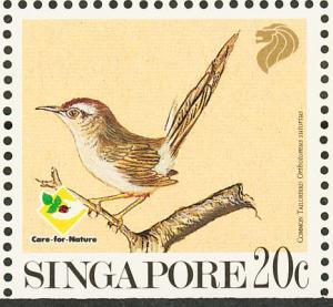 Colnect-1623-931-Common-Tailorbird-Orthotomus-sutorius.jpg