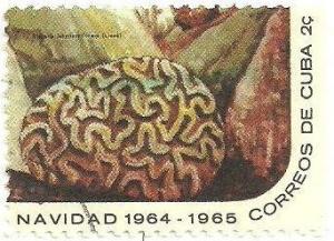 Colnect-1726-363-Grooved-Brain-Coral-Diploria-labyrinthiformis.jpg