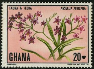 Colnect-1888-176-African-Orchid-Ansellia-africana.jpg