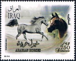 Colnect-2219-436-Arabian-Horse-Equus-ferus-caballus.jpg