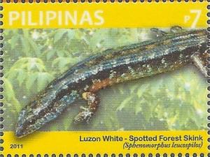 Colnect-2852-658-Luzon-White-Spotted-Forest-Skink-Sphenomorphus-leucospilos.jpg
