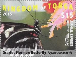 Colnect-3441-270-Scarlet-Mormon-Papilio-rumanzovia.jpg