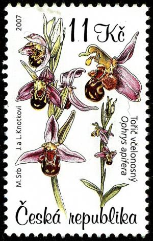 Colnect-3764-558-Wasp-Orchid-Ophrys-apifera.jpg